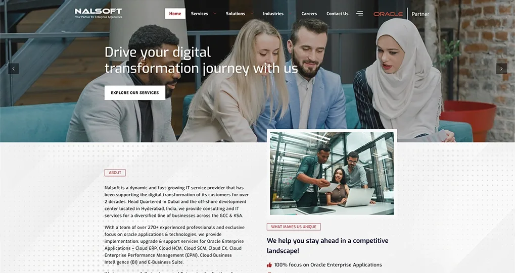 A screenshot of the Nalsoft website.